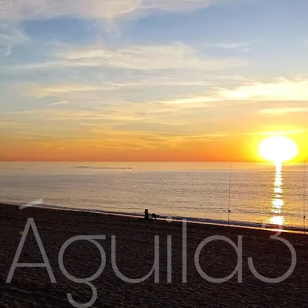 Estudio Aguila3 *